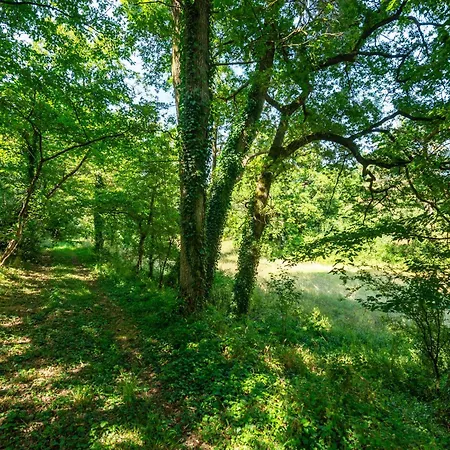Prázdninový dům Le Pasty - Piscine - Tennis - Puy Du Fou *