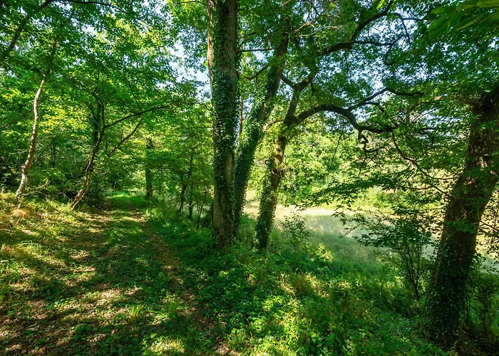 Prázdninový dům Le Pasty - Piscine - Tennis - Puy Du Fou *